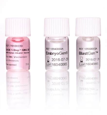 Culture Media with GM-CSF